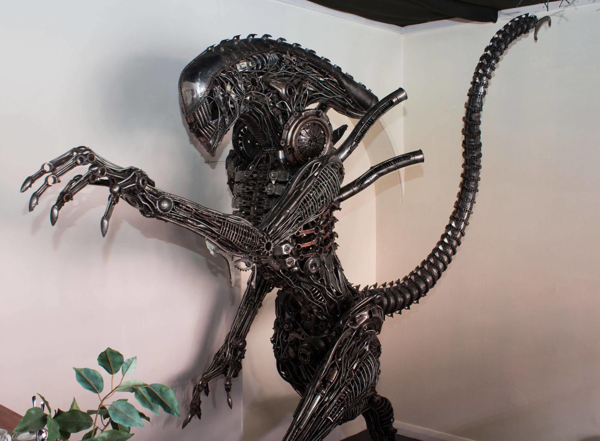 Geeky Gecko Backpackers Hostel Dunedin Ngoại thất bức ảnh
